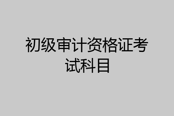 初级审计资格证考试科目