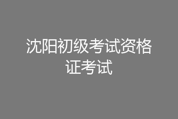 沈阳初级考试资格证考试