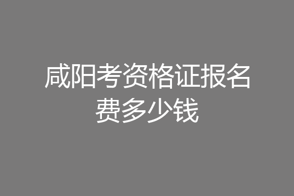 咸阳考资格证报名费多少钱