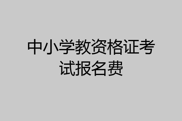 中小学教资格证考试报名费