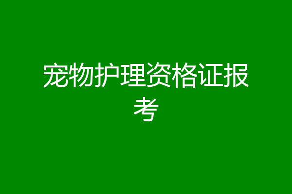 宠物护理资格证报考