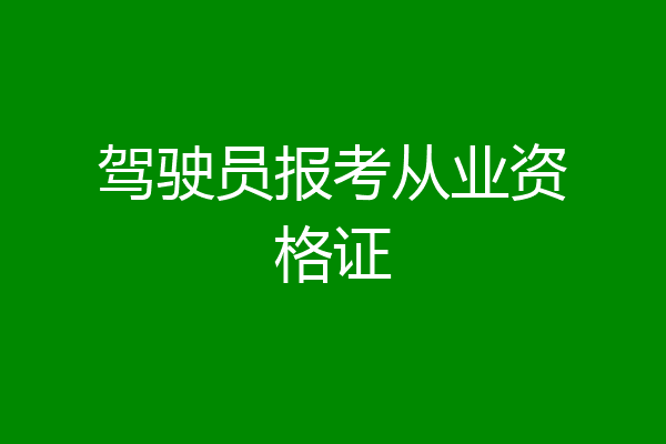 驾驶员报考从业资格证