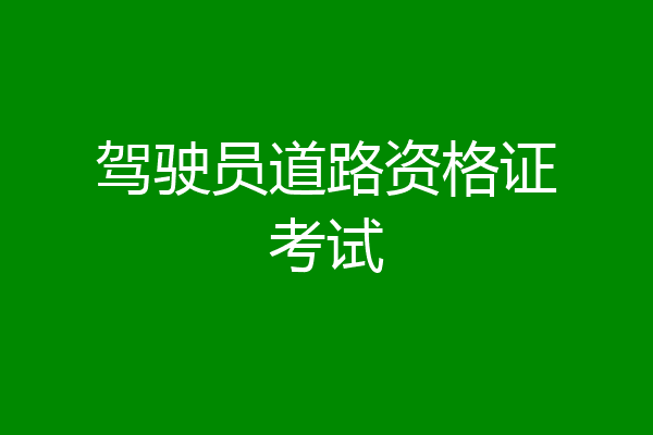 驾驶员道路资格证考试