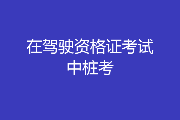 在驾驶资格证考试中桩考