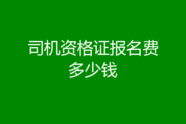 司机资格证报名费多少钱
