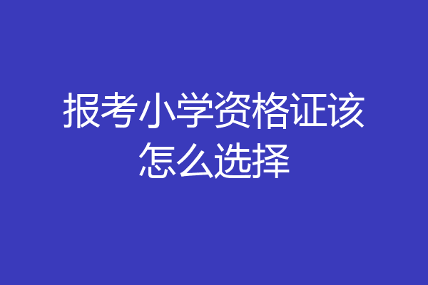 报考小学资格证该怎么选择