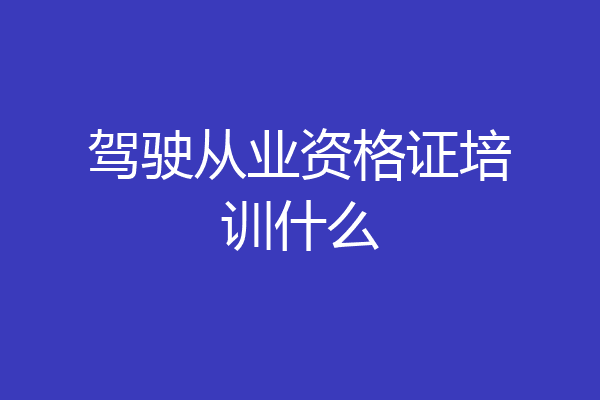 驾驶从业资格证培训什么