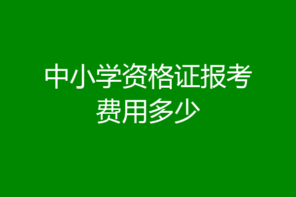 中小学资格证报考费用多少