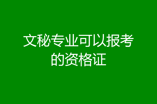 文秘专业可以报考的资格证