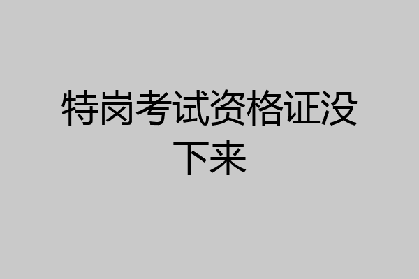 特岗考试资格证没下来