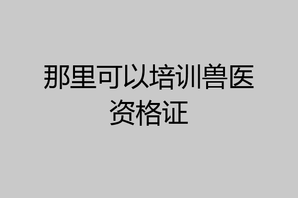 那里可以培训兽医资格证