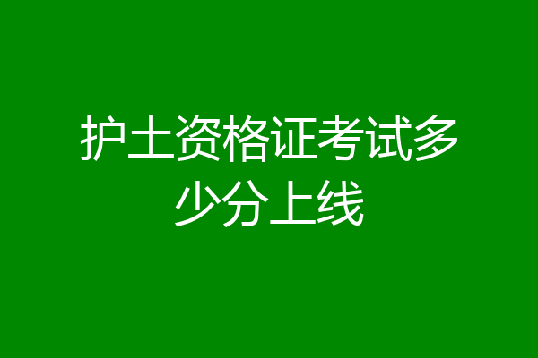 护土资格证考试多少分上线