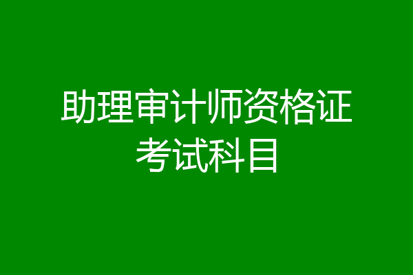 助理审计师资格证考试科目