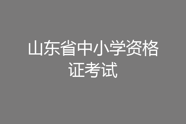 山东省中小学资格证考试