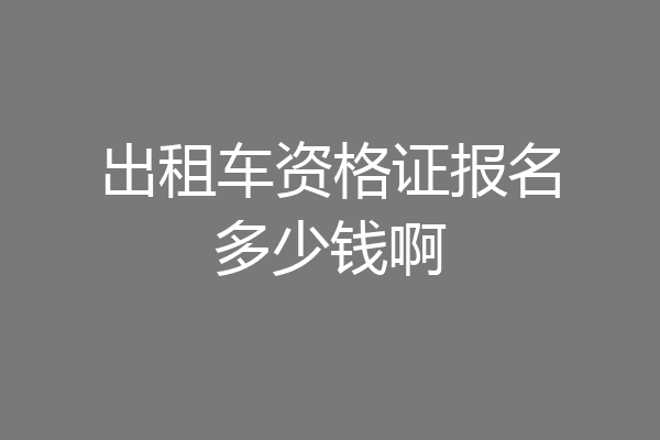 出租车资格证报名多少钱啊
