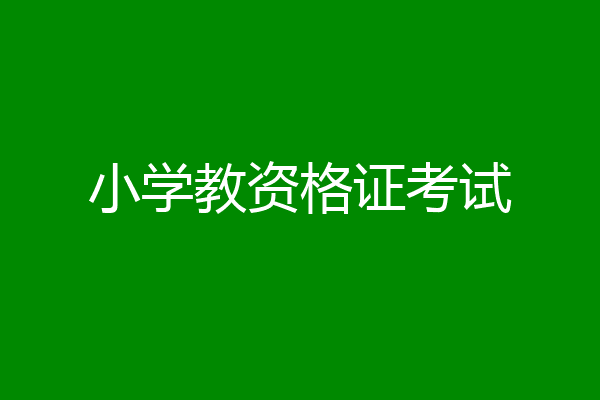 小学教资格证考试