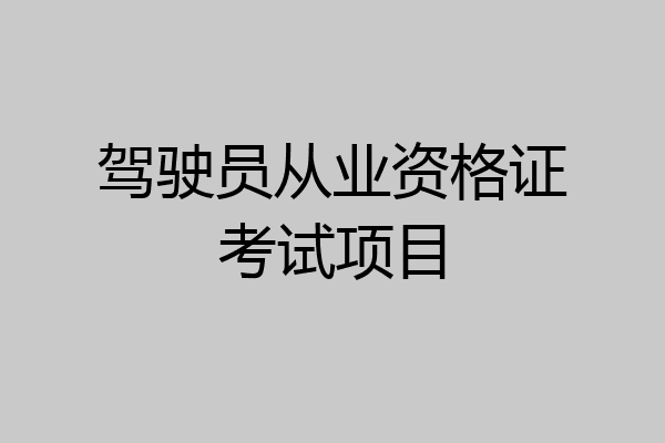 驾驶员从业资格证考试项目