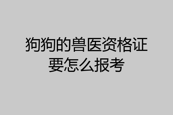 狗狗的兽医资格证要怎么报考