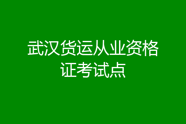 武汉货运从业资格证考试点
