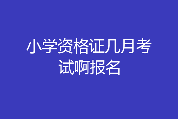 小学资格证几月考试啊报名