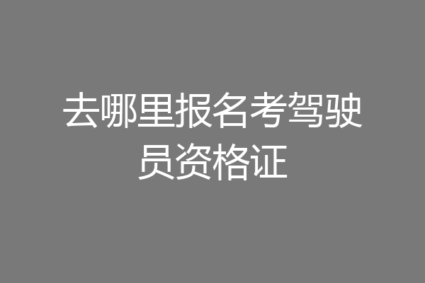 去哪里报名考驾驶员资格证