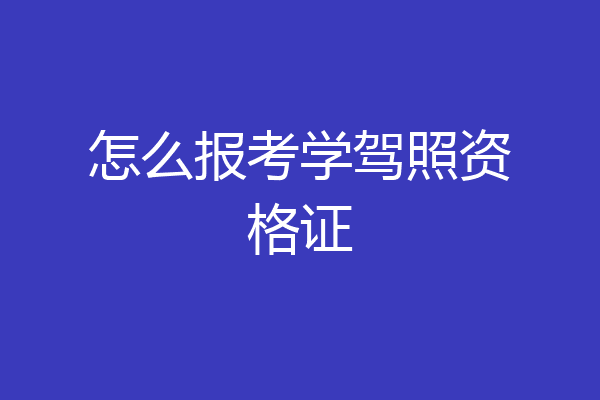 怎么报考学驾照资格证