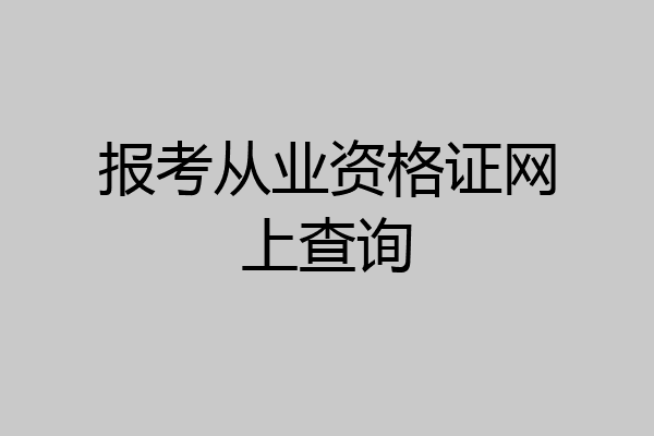 报考从业资格证网上查询