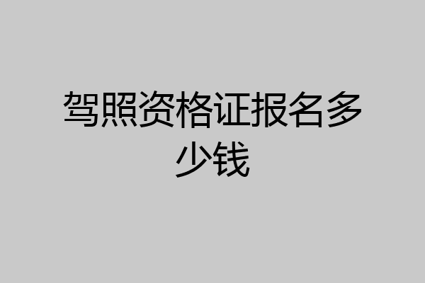驾照资格证报名多少钱