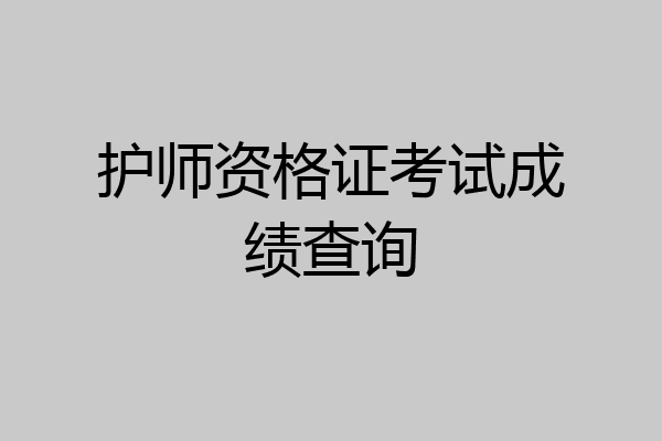 护师资格证考试成绩查询