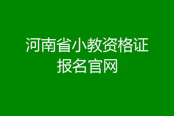 河南省小教资格证报名官网