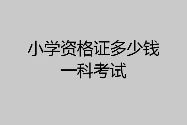 小学资格证多少钱一科考试