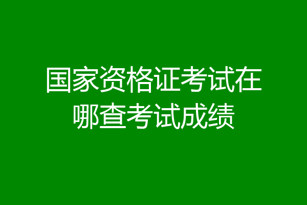 国家资格证考试在哪查考试成绩