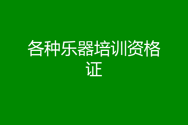 各种乐器培训资格证
