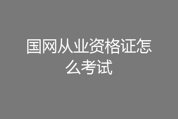 国网从业资格证怎么考试
