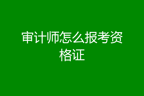 审计师怎么报考资格证