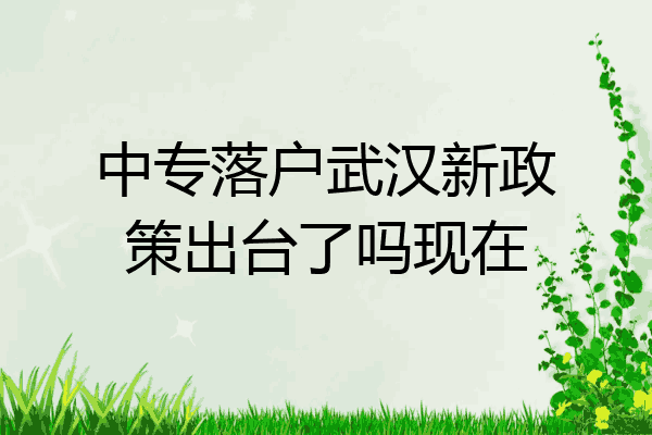 中专落户武汉新政策出台了吗现在