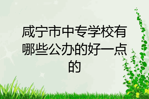 咸宁市中专学校有哪些公办的好一点的