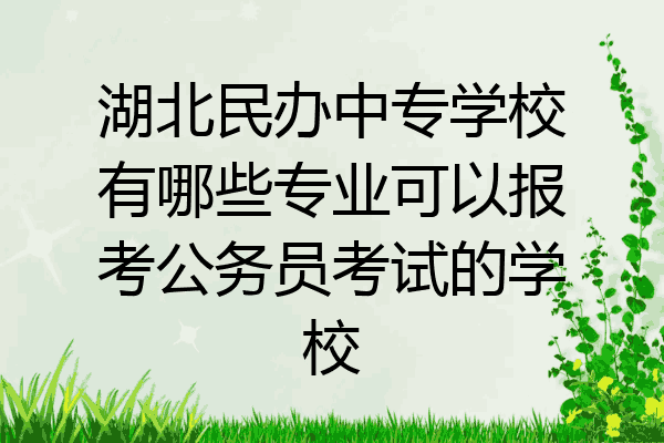 湖北民办中专学校有哪些专业可以报考公务员考试的学校