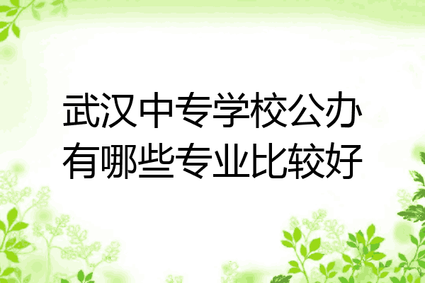 武汉中专学校公办有哪些专业比较好