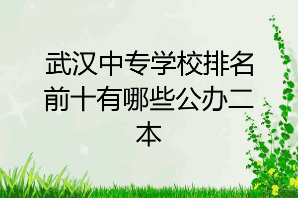 武汉中专学校排名前十有哪些公办二本