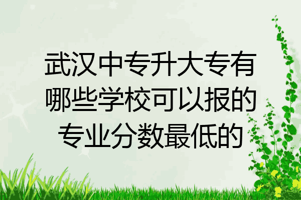 武汉中专升大专有哪些学校可以报的专业分数最低的