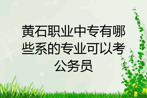 黄石职业中专有哪些系的专业可以考公务员