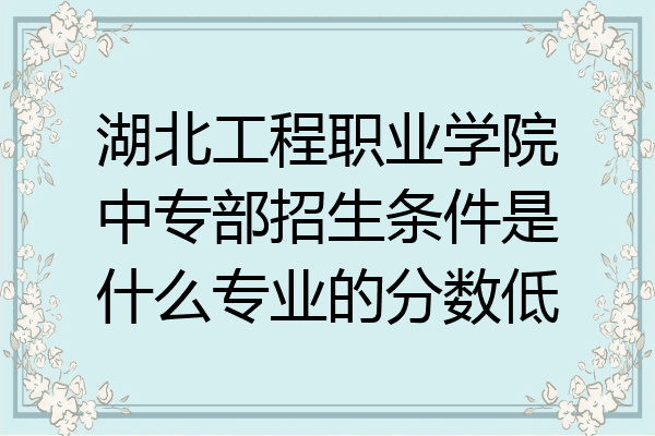 湖北工程职业学院中专部招生条件是什么专业的分数低