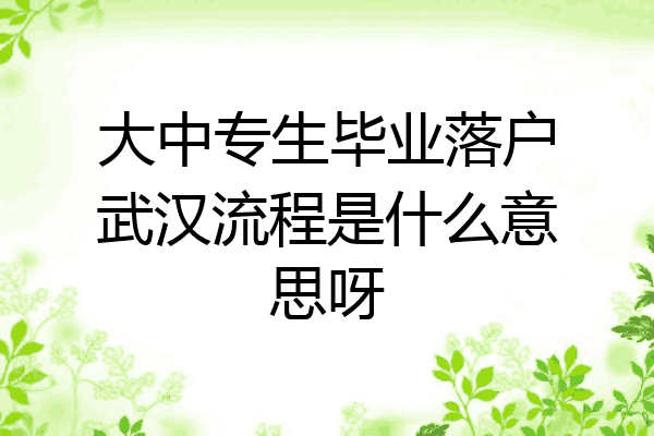 大中专生毕业落户武汉流程是什么意思呀