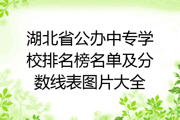 湖北省公办中专学校排名榜名单及分数线表图片大全
