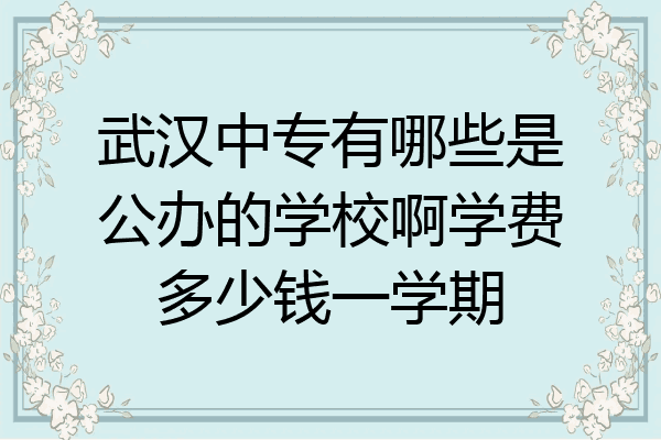 武汉中专有哪些是公办的学校啊学费多少钱一学期