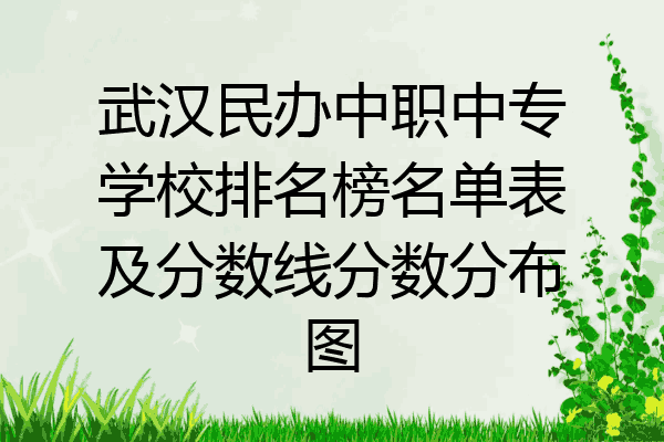 武汉民办中职中专学校排名榜名单表及分数线分数分布图