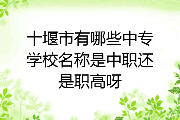 十堰市有哪些中专学校名称是中职还是职高呀