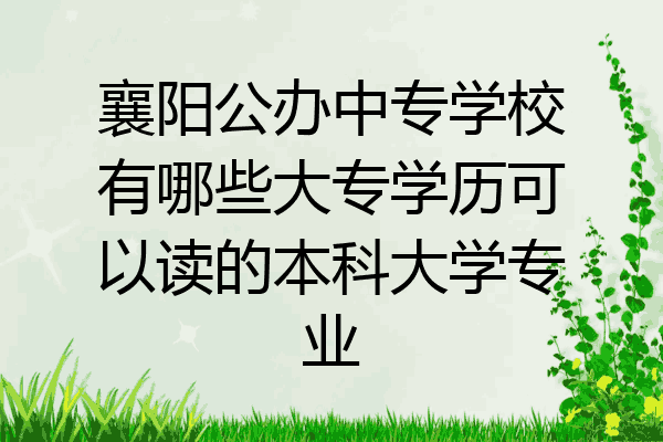 襄阳公办中专学校有哪些大专学历可以读的本科大学专业