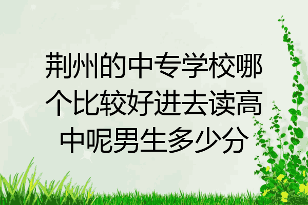 荆州的中专学校哪个比较好进去读高中呢男生多少分
